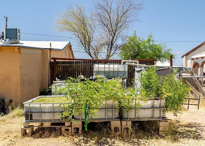 Desert Aquaponic Garden Tucson