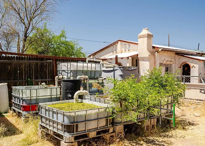 Сasa de vacaciones Desert Aquaponic Garden Tucson