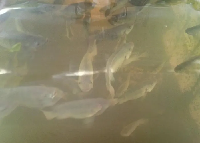 Сasa de vacaciones Desert Aquaponic Garden *